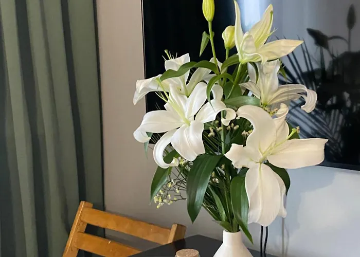 Yellow Stone * シュチェチン